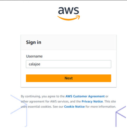aws1.jpg